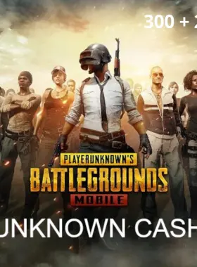 PUBG Mobile - 300 + 25 UC QA CD Key