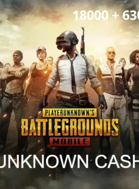 PUBG Mobile - 18000 + 6300 UC UAE CD Key