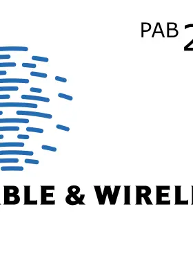 لوحة شحن محمولة سلكية ولاسلكية 20 PAB