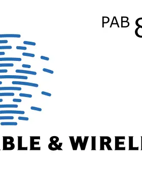 有线和无线 80 PAB 移动充值 PA