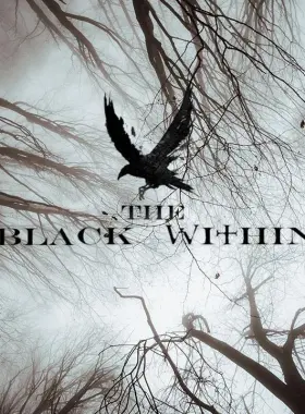 《黑衣人》PC Steam CD 密钥