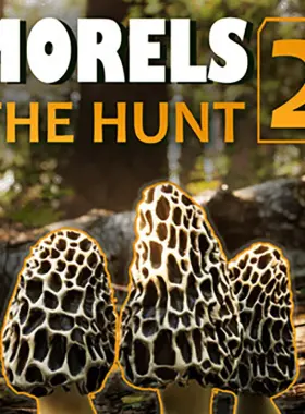Clave de CD de Steam de Morels: The Hunt 2