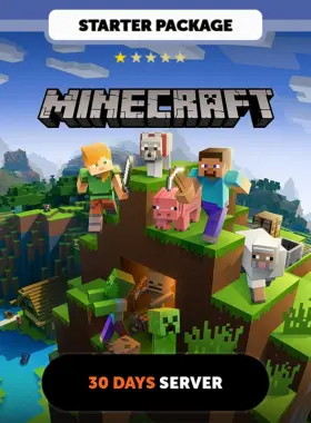 Minecraft 30 days Private server - Starter Package