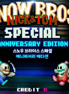 Snow Bros. Special Anniversary Edition PC Steam CD Key