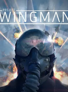 Project Wingman ASIA PC Steam CD Key