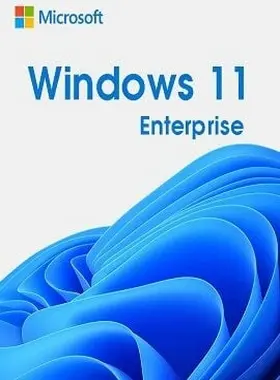 Windows 11 Enterprise Key