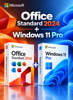 Office Standard 2024 + Windows 11 pro